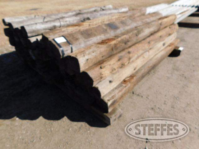 Approx. 20 Railroad Ties (Used)